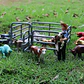 Oenux Mini Animal Figures PVC Zoo Model Set - vignette 52
