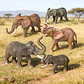 Oenux Elephant Figure Realistic PVC Wildlife Model - thumbnail 58