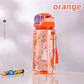 Kids Dinosaur Water Bottle – 600ml Straw Cup - thumbnail 7