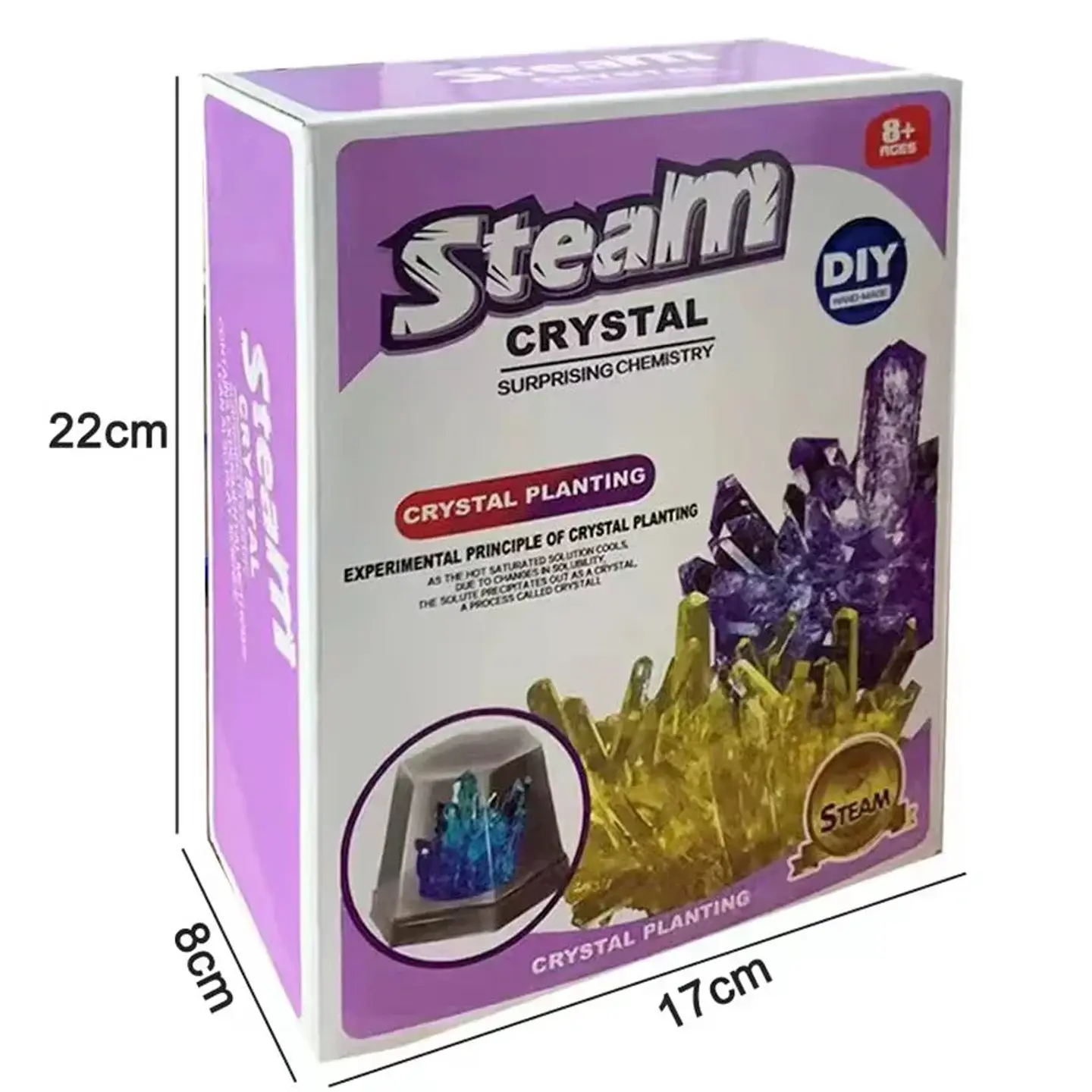 Crystal Growing Kit – STEAM Science Experiment 6