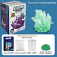 Crystal Growing Kit – STEAM Science Experiment - thumbnail 7