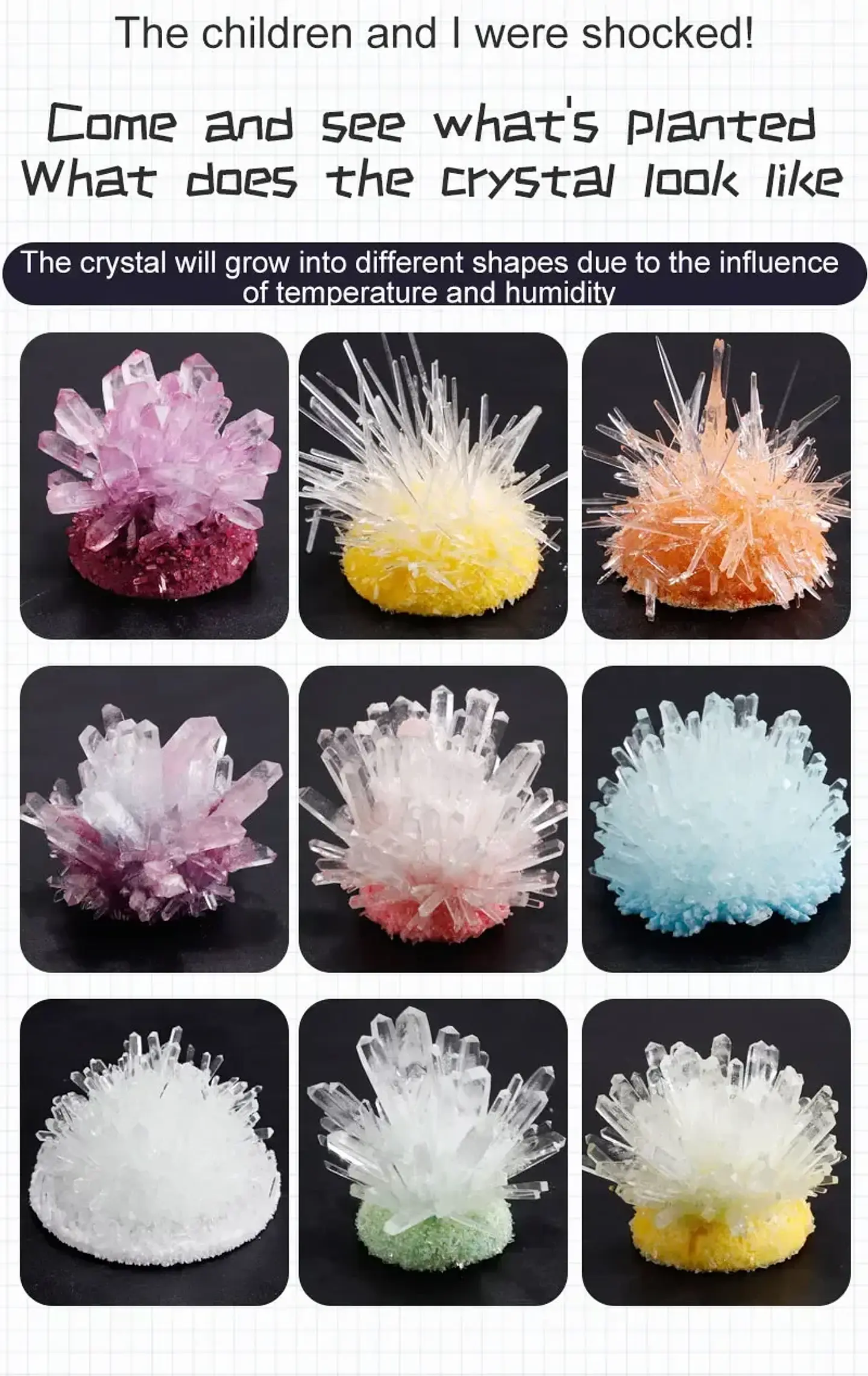 Crystal Growing Kit – STEAM Science Experiment 14