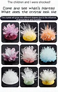 Crystal Growing Kit – STEAM Science Experiment - thumbnail 14