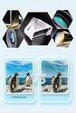 High-Power HD Binoculars – Waterproof Compact - thumbnail 17