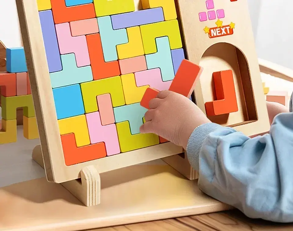 3D Wooden Puzzle Blocks – Early Childhood Logic 8