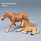 Farm Animal Figure Set – Realistic PVC Models - thumbnail 4