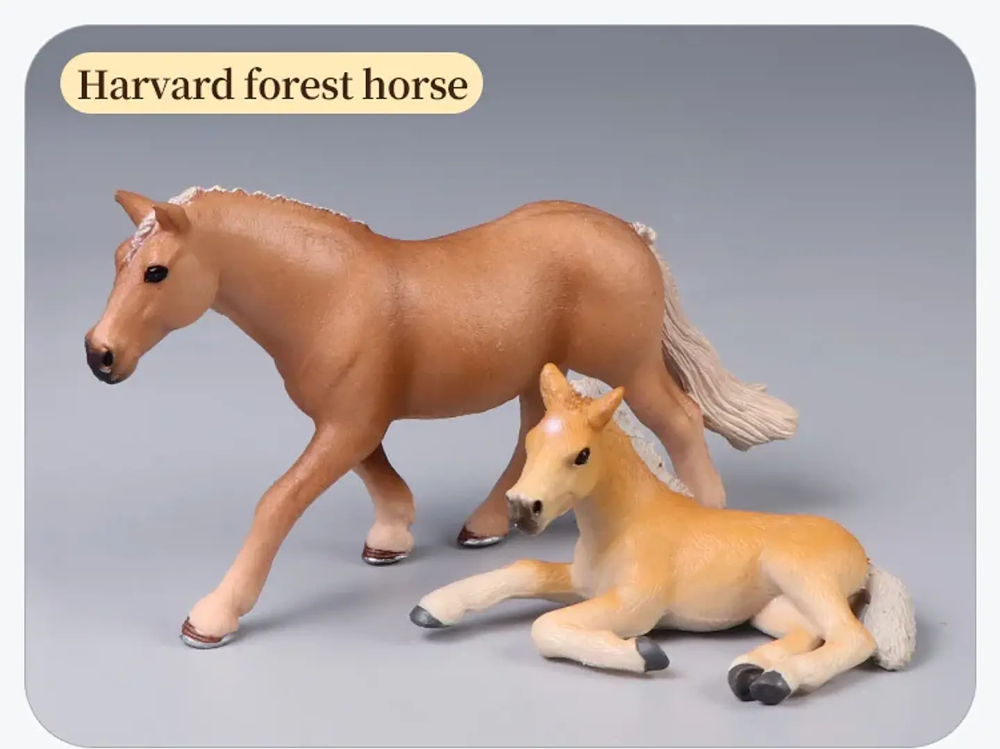 Farm Animal Figure Set – Realistic PVC Models 26