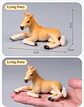 Farm Animal Figure Set – Realistic PVC Models - thumbnail 28