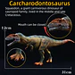 Jurassic Dinosaur Figure Collection – Realistic PVC - thumbnail 8