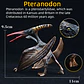 Jurassic Dinosaur Figure Collection – Realistic PVC - thumbnail 12