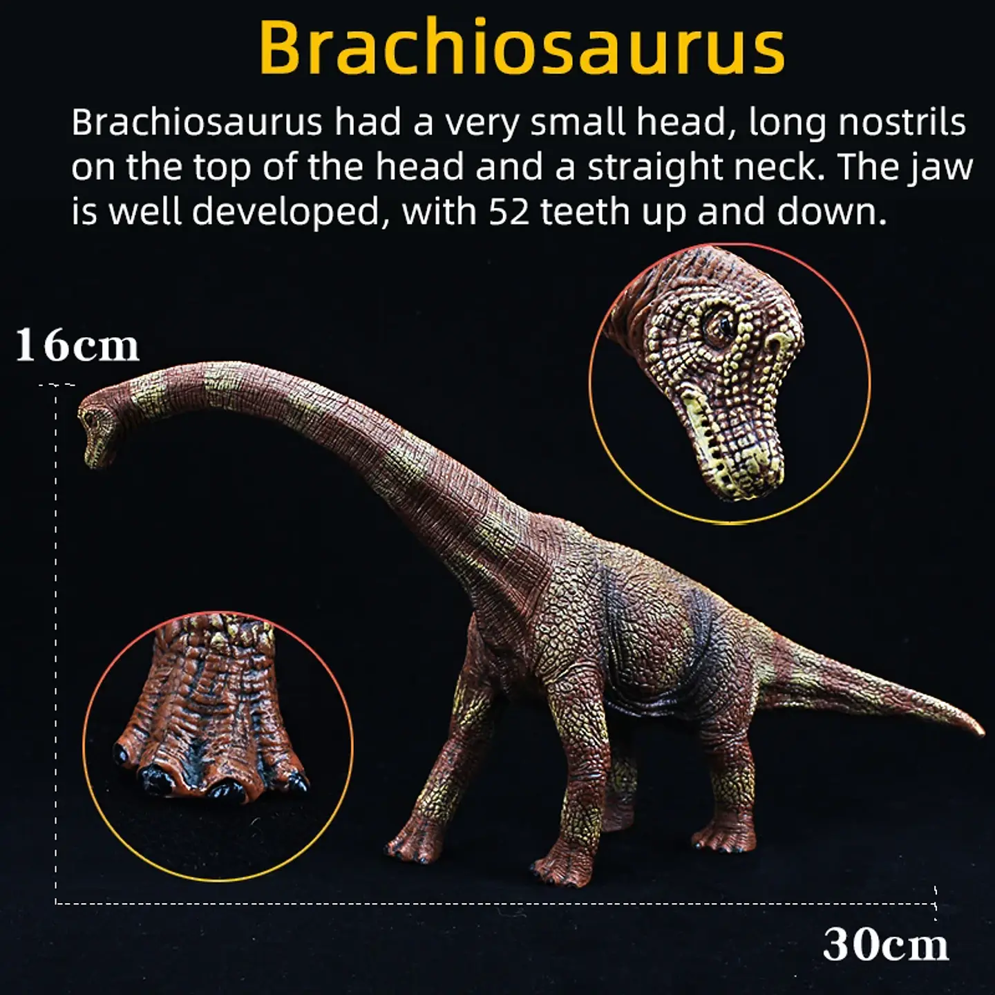 Jurassic Dinosaur Figure Collection – Realistic PVC 15