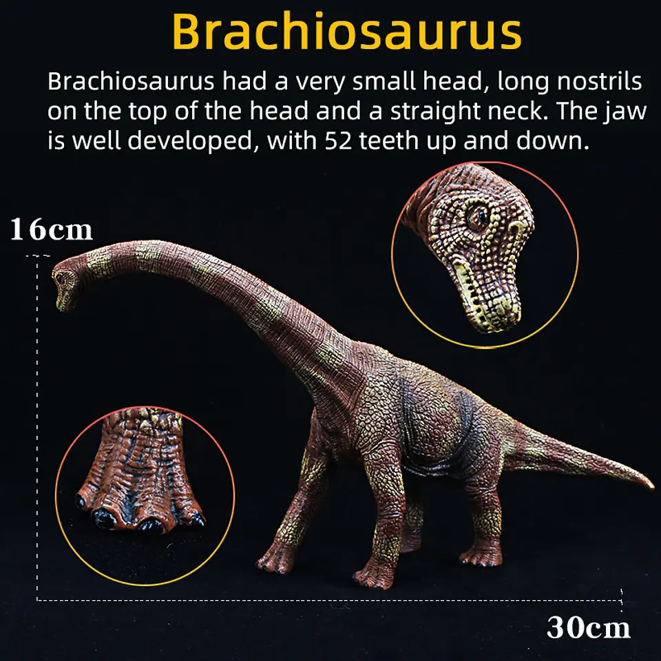 Jurassic Dinosaur Figure Collection – Realistic PVC 15