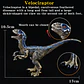 Jurassic Dinosaur Figure Collection – Realistic PVC - thumbnail 20