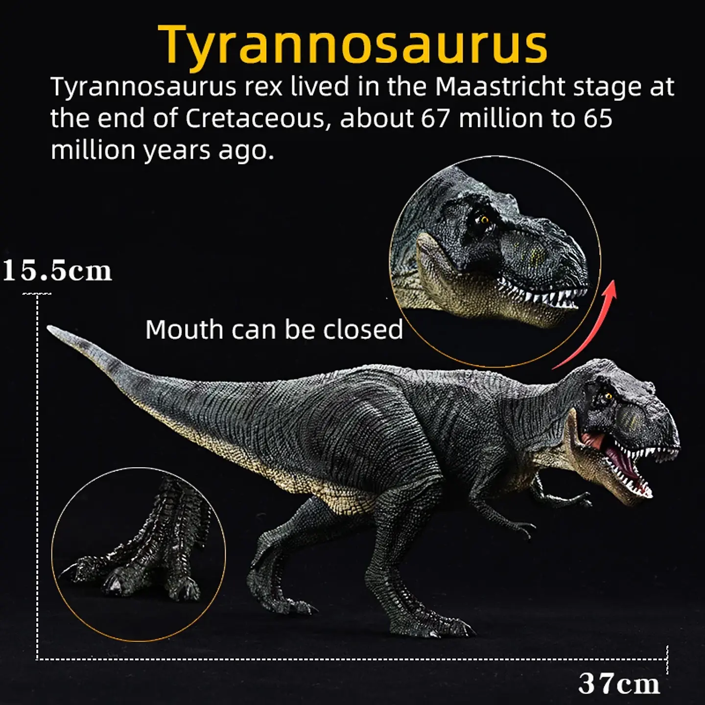 Jurassic Dinosaur Figure Collection – Realistic PVC 21