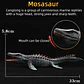 Jurassic Dinosaur Figure Collection – Realistic PVC - thumbnail 30