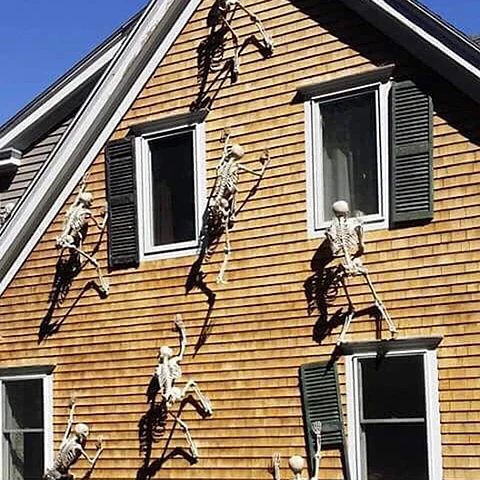 Movable Skeleton Decoration – Halloween Prop
