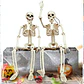 Movable Skeleton Decoration – Halloween Prop - thumbnail 3