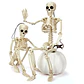 Movable Skeleton Decoration – Halloween Prop - thumbnail 4