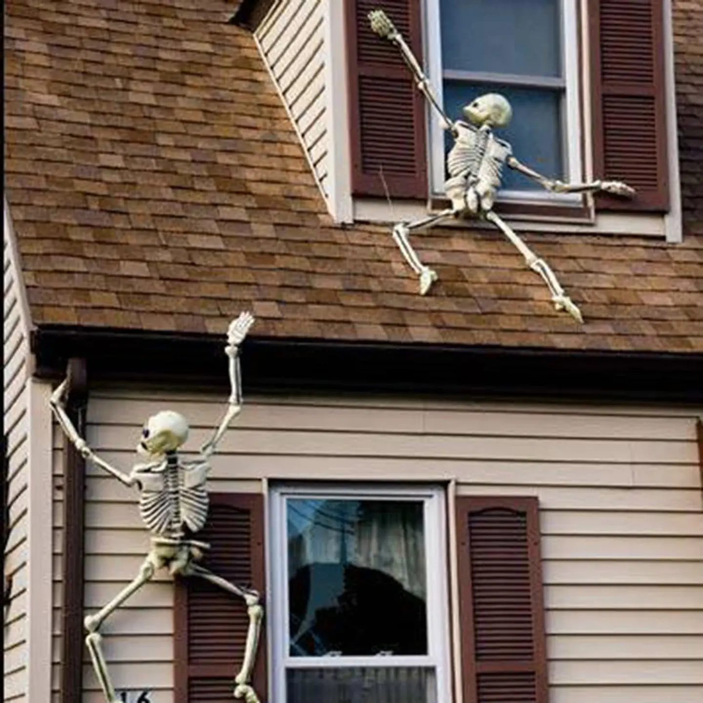 Movable Skeleton Decoration – Halloween Prop 5