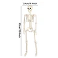 Movable Skeleton Decoration – Halloween Prop - thumbnail 7