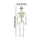 Movable Skeleton Decoration – Halloween Prop - thumbnail 8