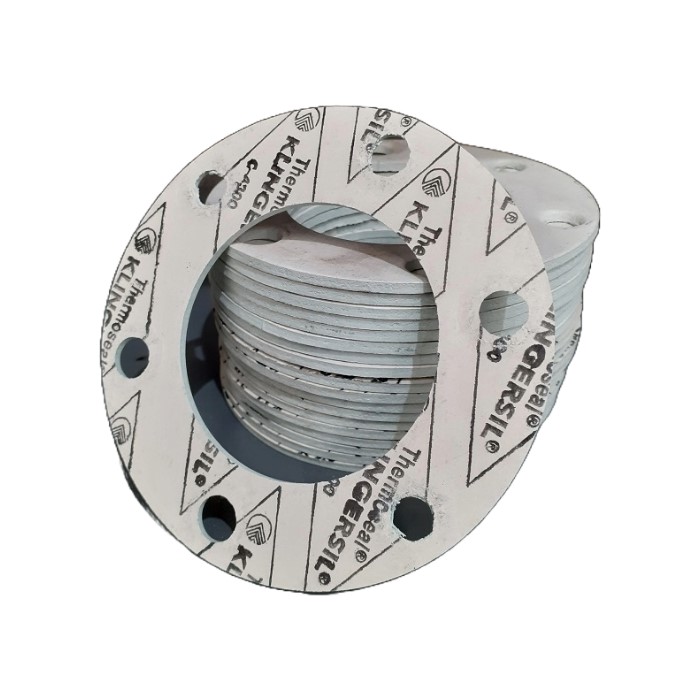 EMPAQUETADURA FLANGE CAMION 2" 6 PERF.