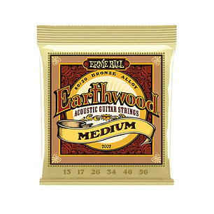 Ernie Ball - Earthwood Medium