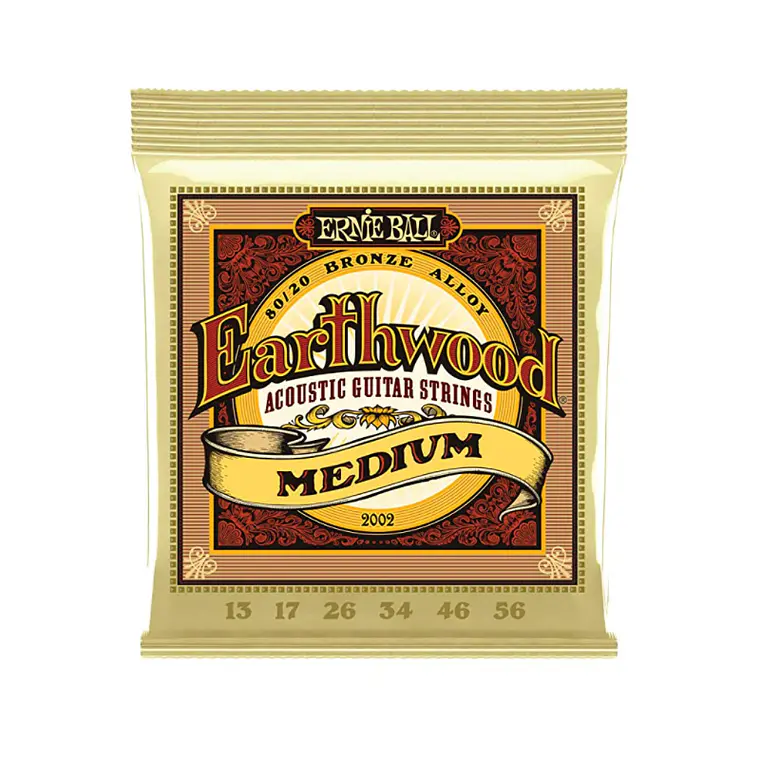 Ernie Ball - Earthwood Medium 1