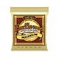 Ernie Ball - Earthwood Medium - Miniatura 1