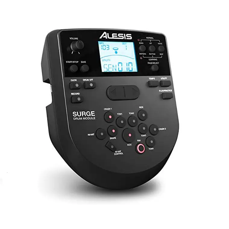 Módulo Alesis Surge 2