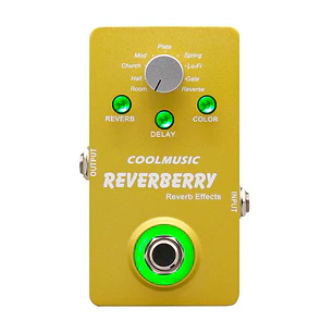 CoolMusic Reverberry Digital Reverb / A-RE01