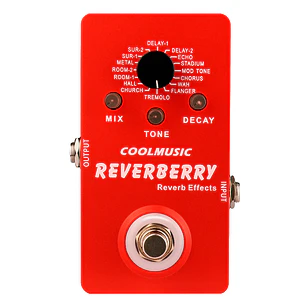 CoolMusic Reverberry 16 Digital Reverb / A-RV02