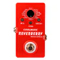 CoolMusic Reverberry 16 Digital Reverb / A-RV02 - Miniatura 1