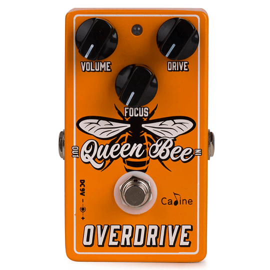 Caline Queen Bee Overdrive / CP-503