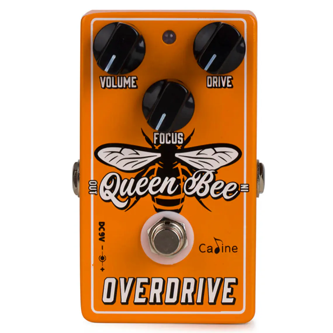 Caline Queen Bee Overdrive / CP-503 1
