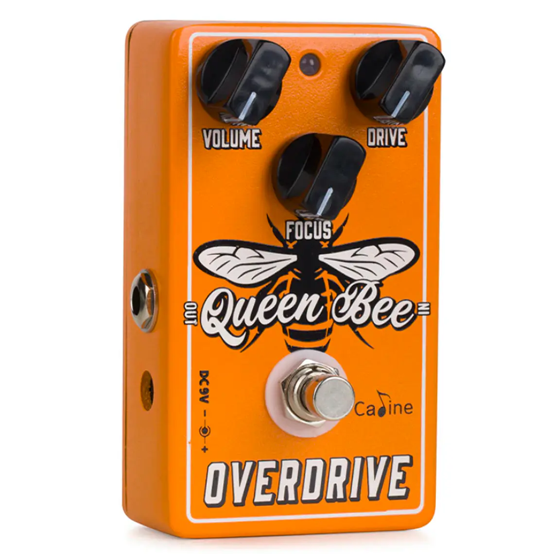 Caline Queen Bee Overdrive / CP-503 2
