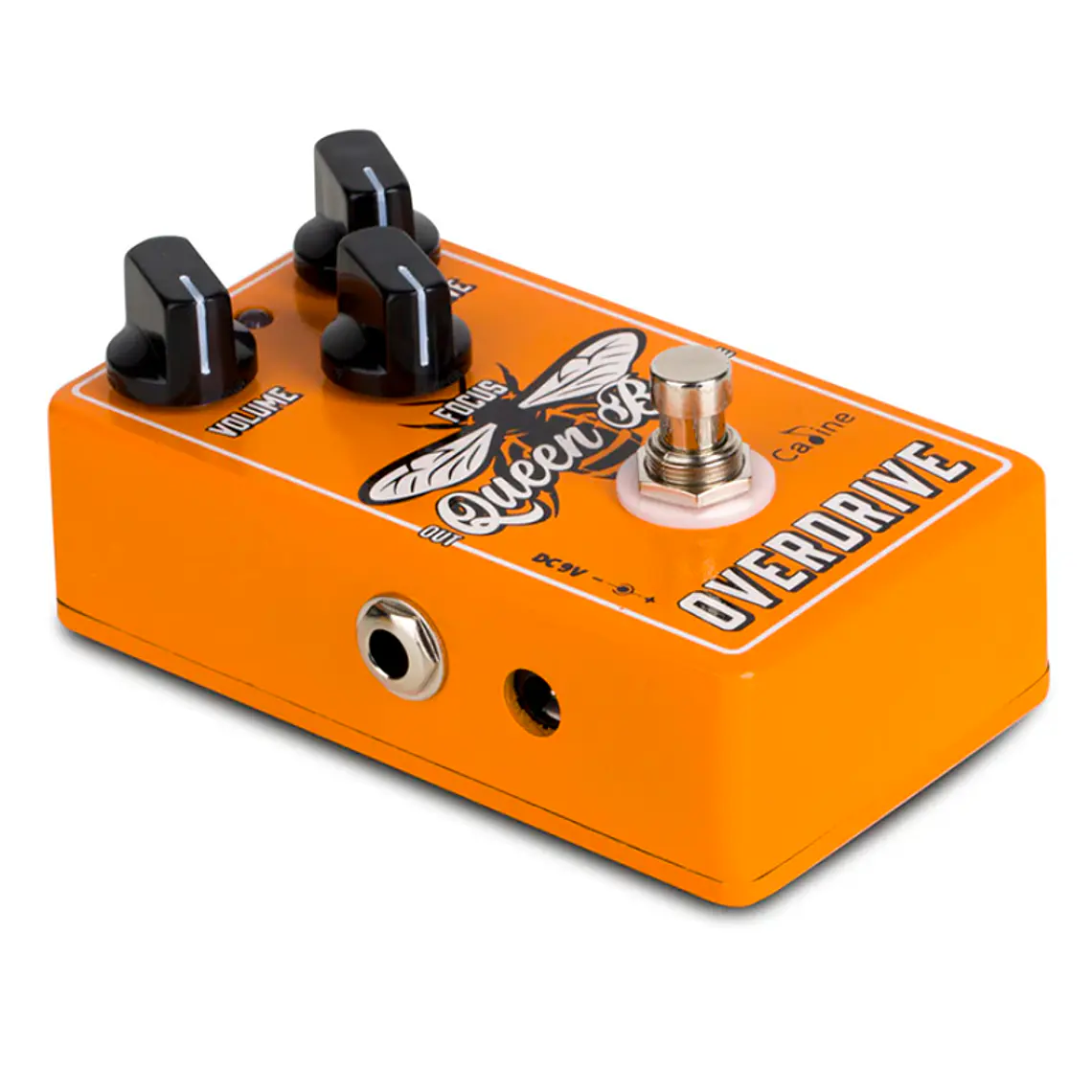 Caline Queen Bee Overdrive / CP-503 3