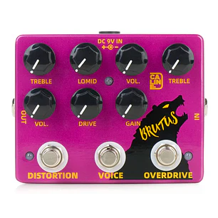 Caline Brutus Overdrive Distortion / DCP-02