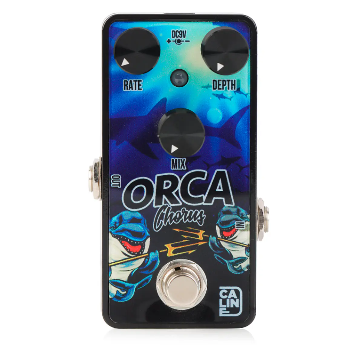 Caline Orca Chorus / G003 1