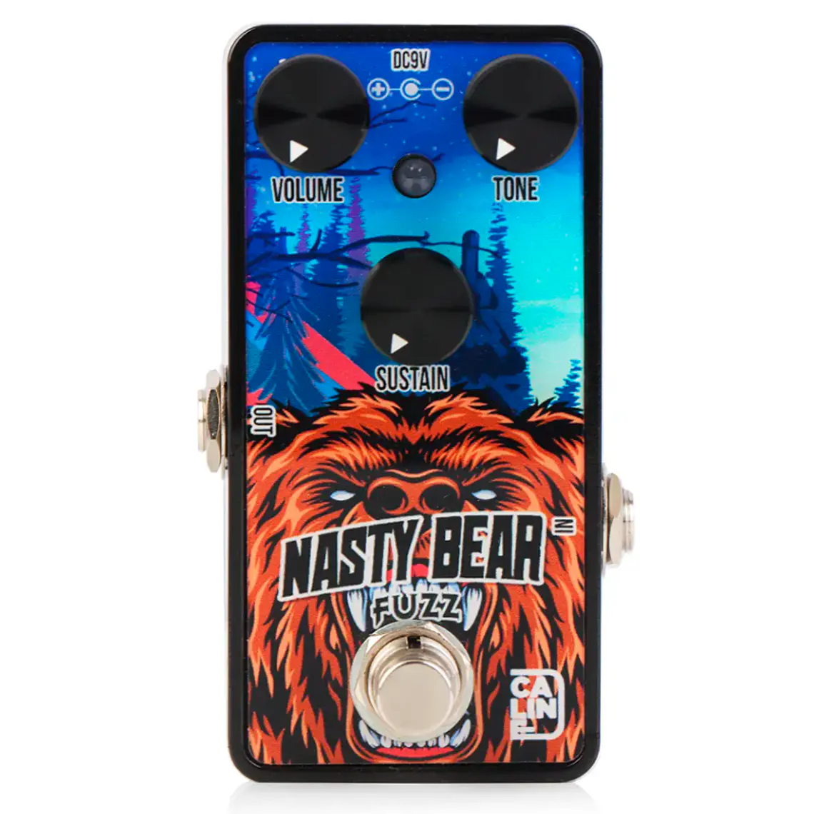 Caline Nasty Bear Fuzz / G014 1