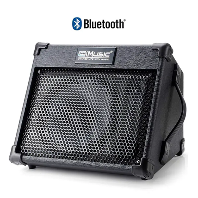 Coolmusic BP-40 40W Amplificador Recargable Multi Instrumento 1