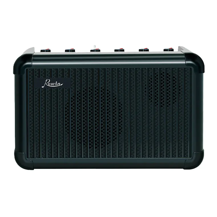 Rowin Amplificador PE-10 15W Negro 6
