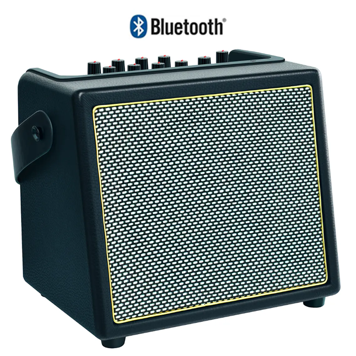 Rowin Amplificador PD-30 30W 1