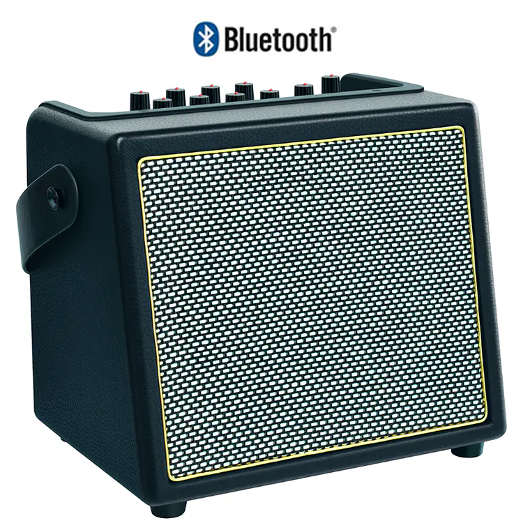Rowin Amplificador PD-30 30W 1
