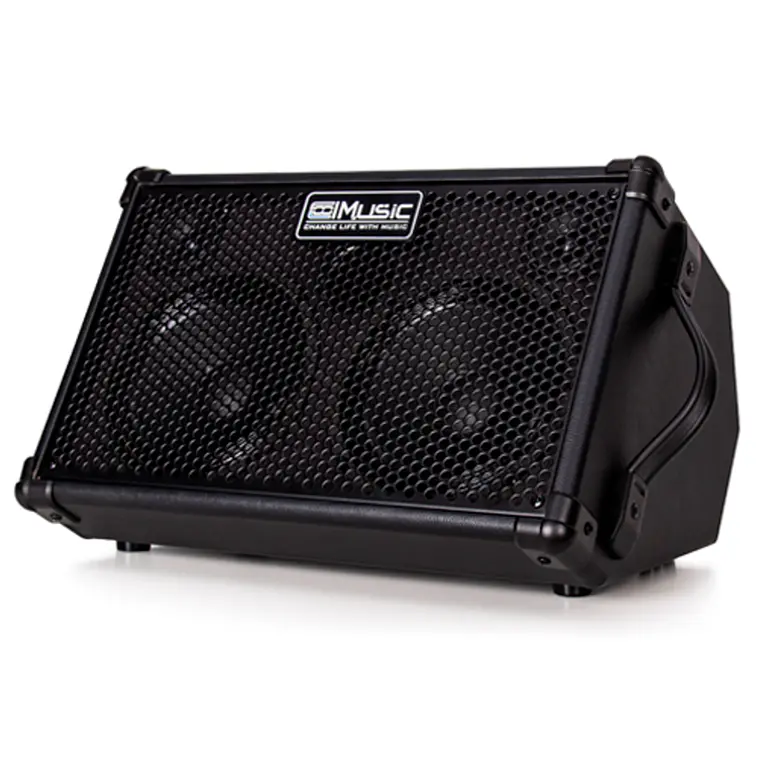 Coolmusic BP-40D Black 80W Amplificador Recargable Multi Instrumento 6