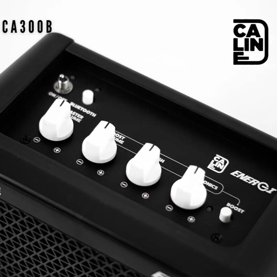 Caline Amplificador Bajo Energi 15W CA-300B 3