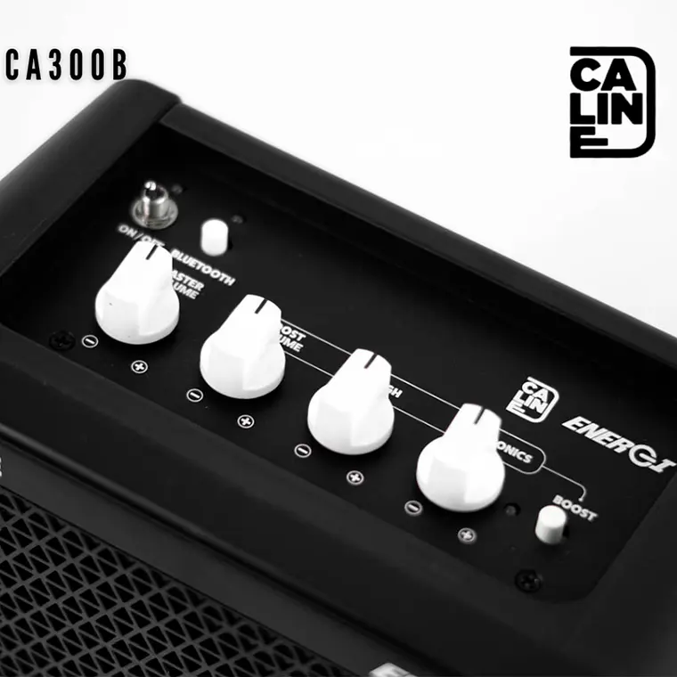 Caline Amplificador Bajo Energi 15W CA-300B 3