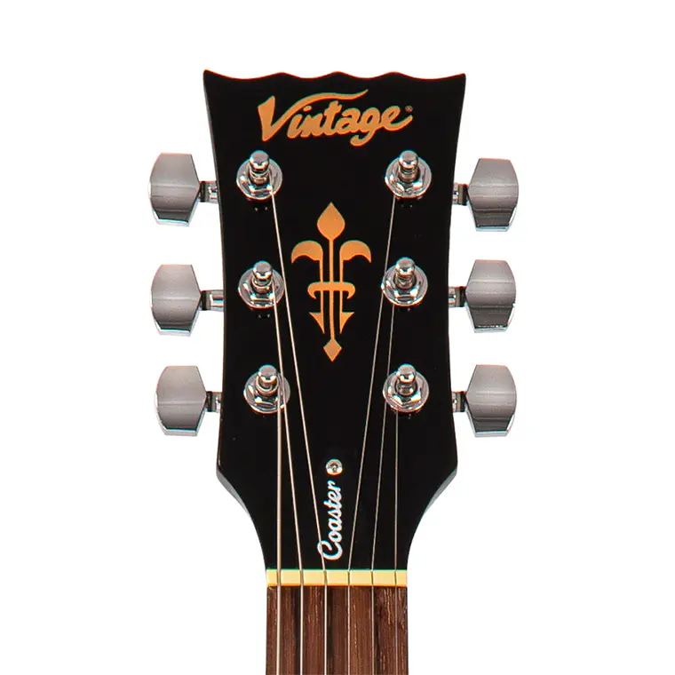Guitarra Vintage V10 - Boulevard Black 3