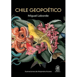 Chile Geopoetico