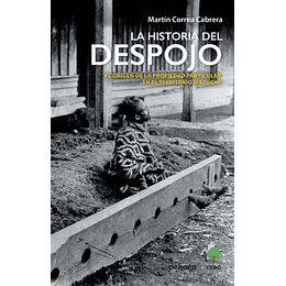 La Historia Del Despojo; El Origen De La Propiedad Particular En El Territorio Mapuche